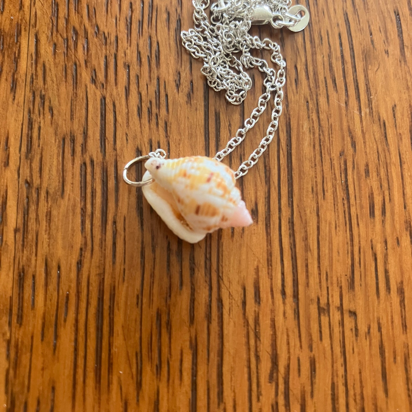 Sea Sell Artisan Made Pendant Handcrafted Sea Shell Necklace 1/2 in x 3/4 in Mermaid Jewelry
