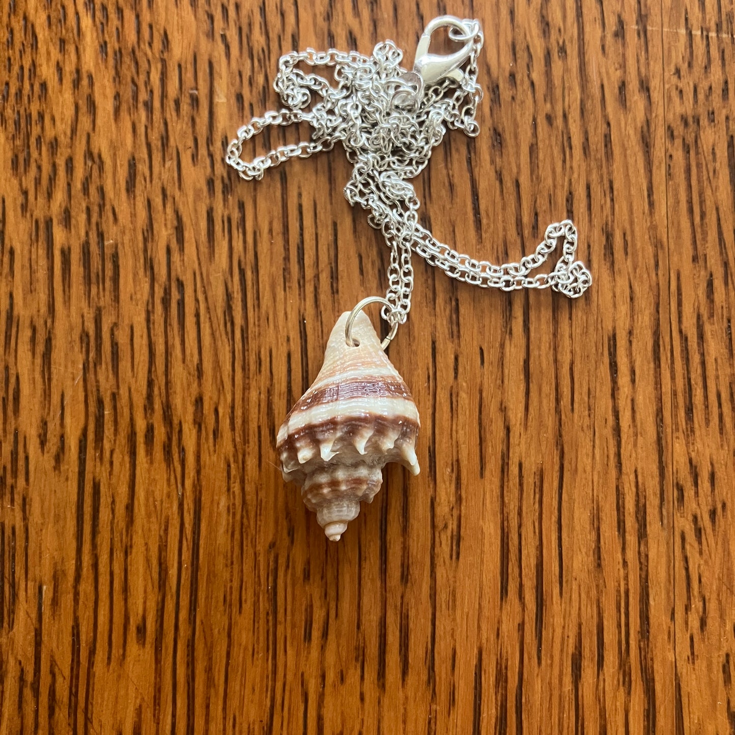 Sea Sell Artisan Made Pendant Handcrafted Sea Shell Necklace 5/8in x 1in Mermaid Jewelry