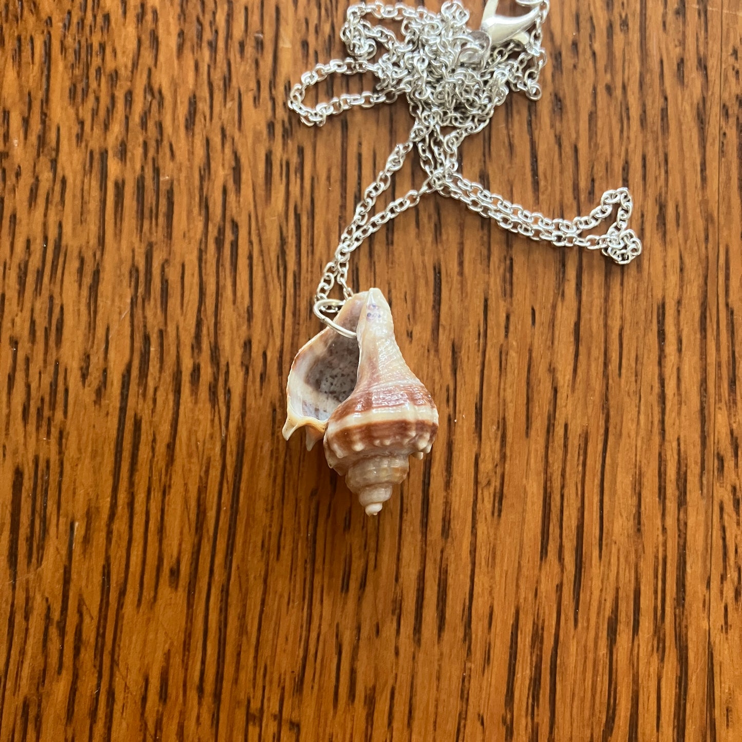 Sea Sell Artisan Made Pendant Handcrafted Sea Shell Necklace 5/8in x 1in Mermaid Jewelry