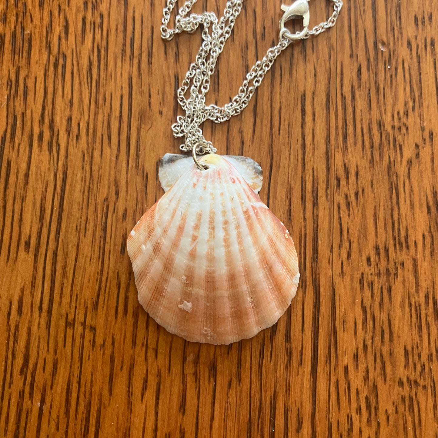 Pacific Pink Scallop Artisan Made Pendant Handcrafted Sea Shell Necklace 1 3/8in x 1.5in Mermaid Jewelry