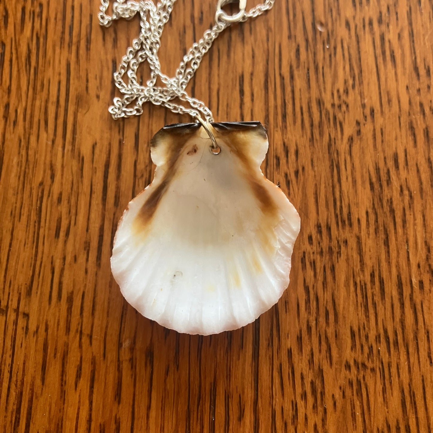 Pacific Pink Scallop Artisan Made Pendant Handcrafted Sea Shell Necklace 1 3/8in x 1.5in Mermaid Jewelry