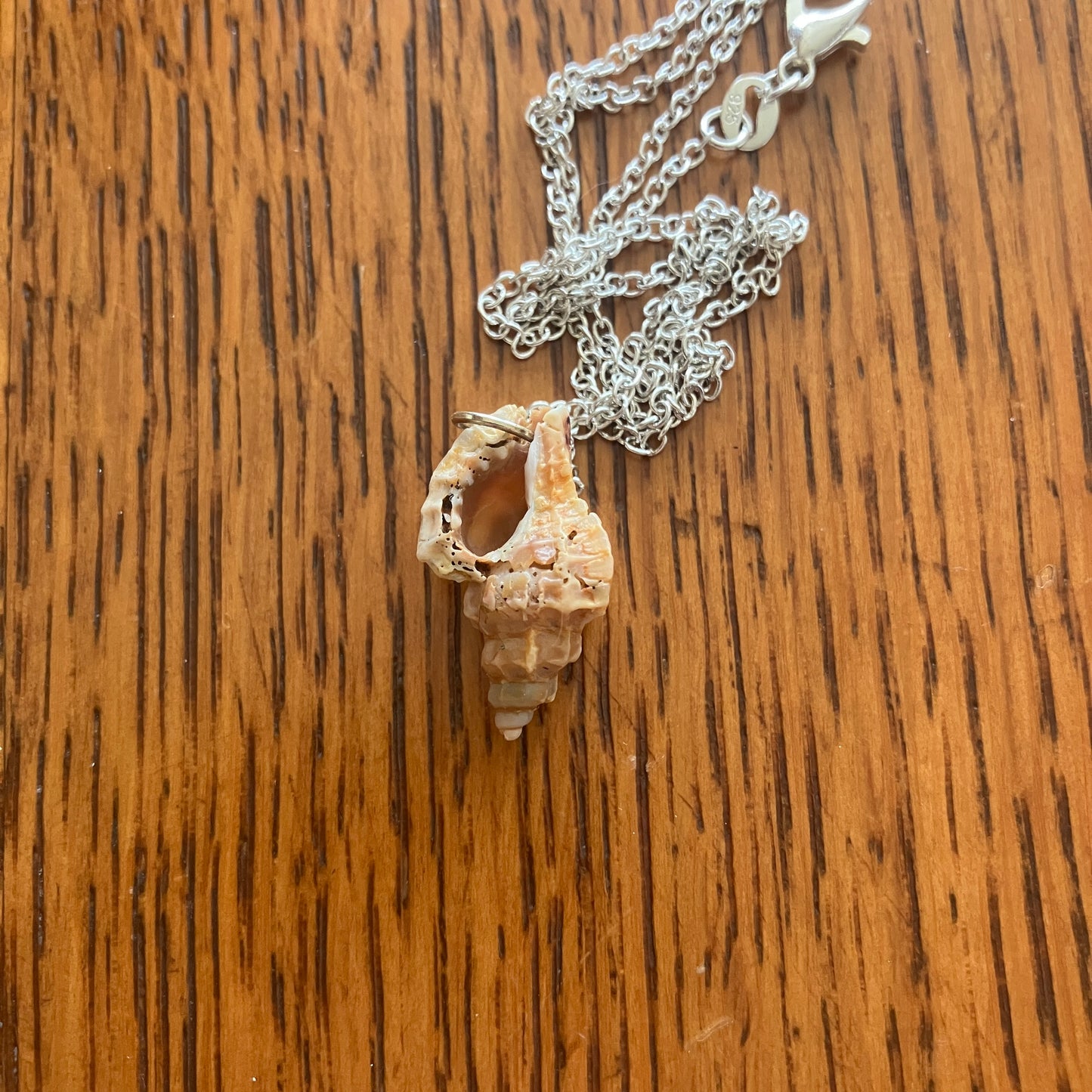 Murex Sell Artisan Made Pendant Handcrafted Sea Shell Necklace 1/2in x 7/8in Mermaid Jewelry