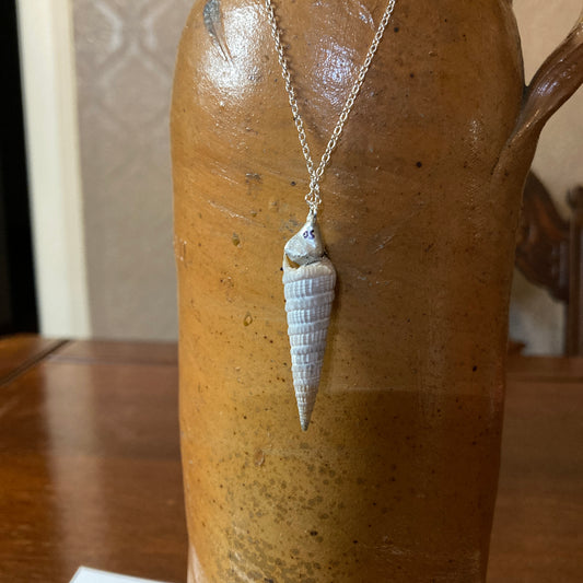 Turritellidae Artisan Made Pendant Handcrafted Sea Shell Necklace 3/8 in x 1.75 in
