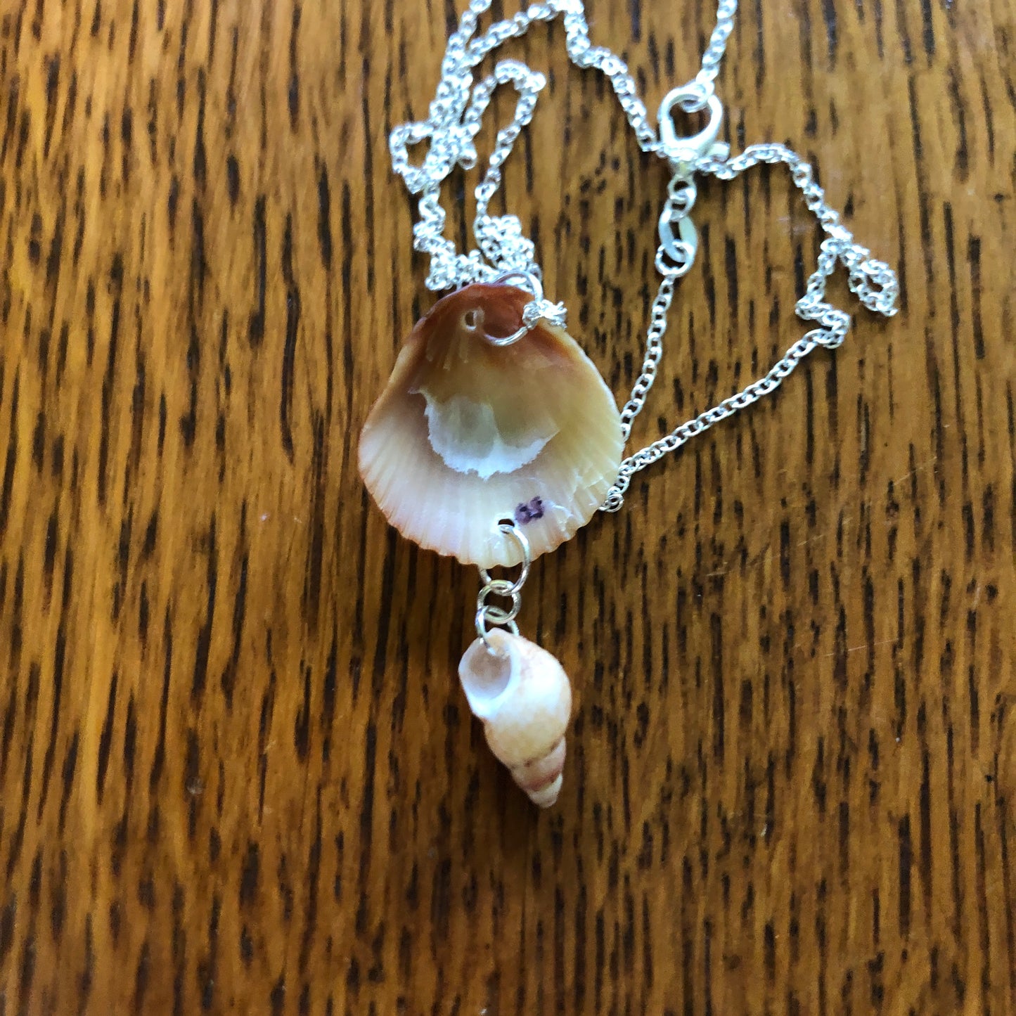 Scallop And Periwinkle Artisan Made Pendent Handcrafted Sea Shell Necklace 1 in x 1.75 in Mermaid Jewelry