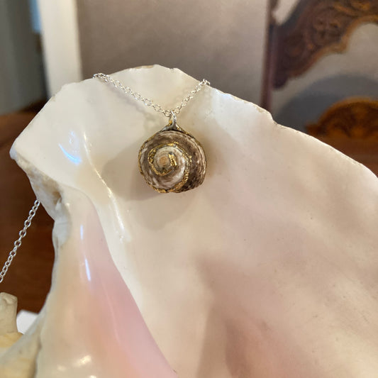 Sea Witch Artisan Made Pendant Handcrafted Sea Shell Necklace 5/8 in x 5/8 in