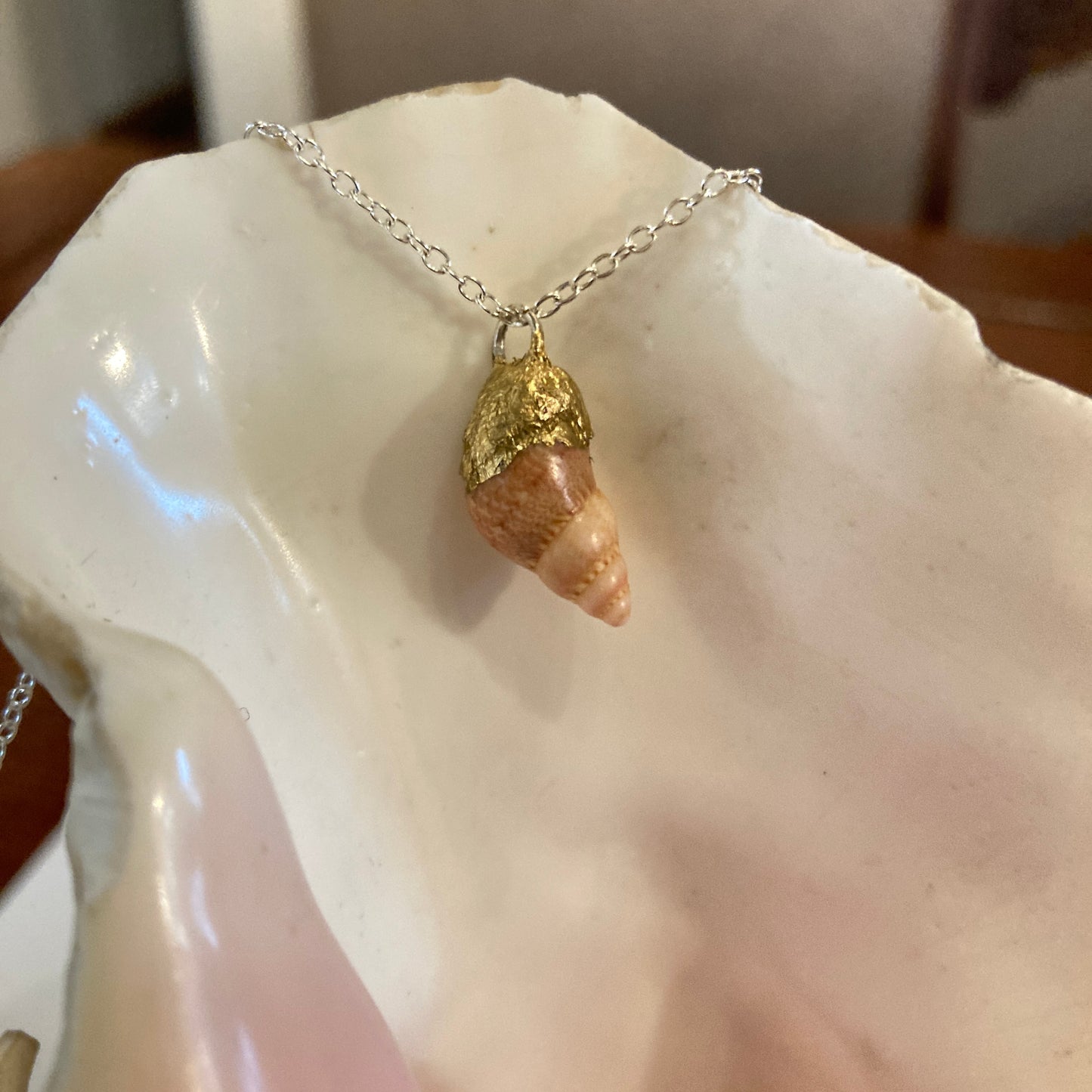 Periwinkle Artisan Made Pendant Handcrafted Sea Shell Necklace 3/8 in x 3/4 in