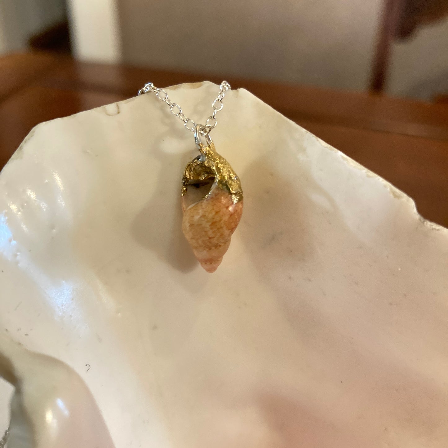 Periwinkle Artisan Made Pendant Handcrafted Sea Shell Necklace 3/8 in x 3/4 in