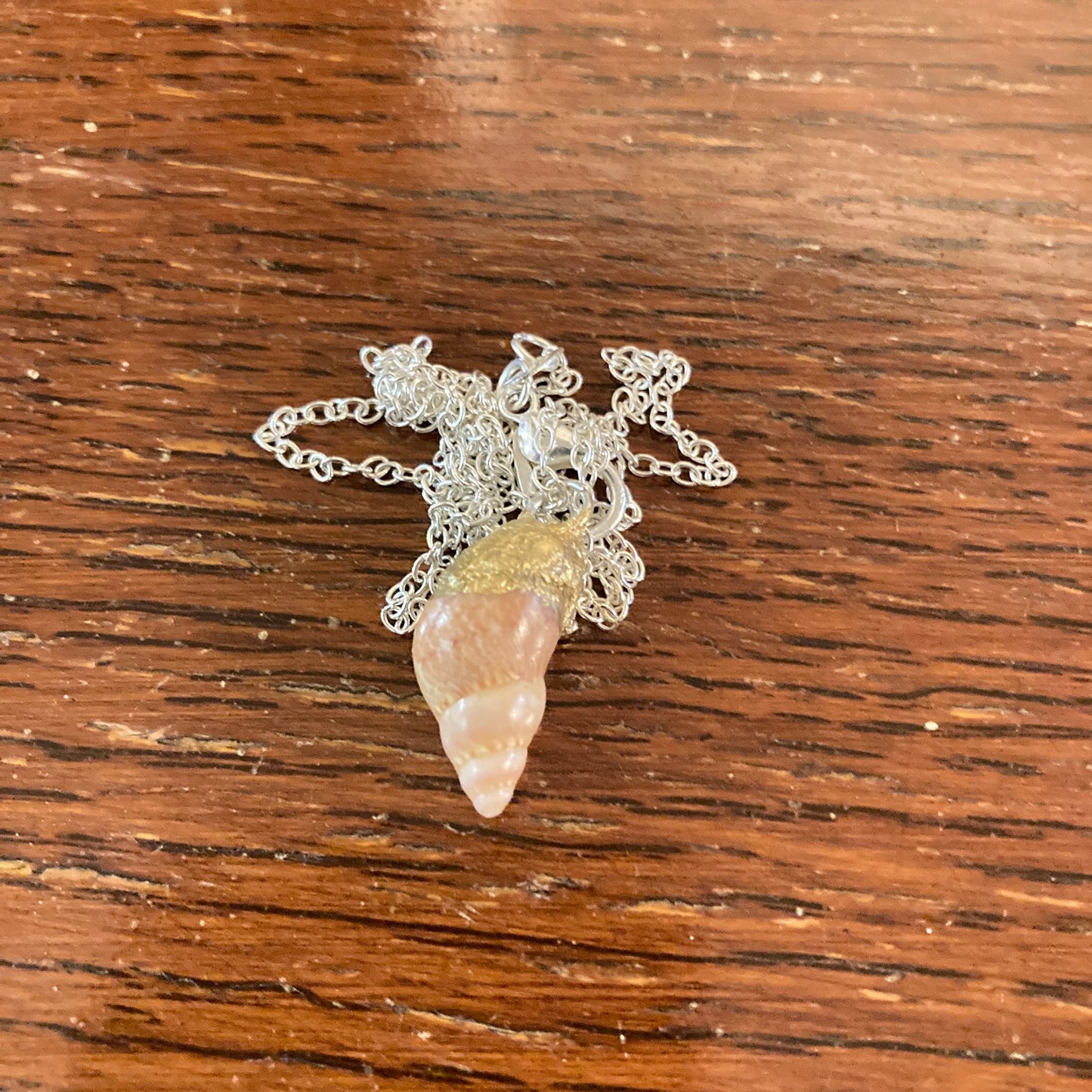 Periwinkle Artisan Made Pendant Handcrafted Sea Shell Necklace 3/8 in x 3/4 in