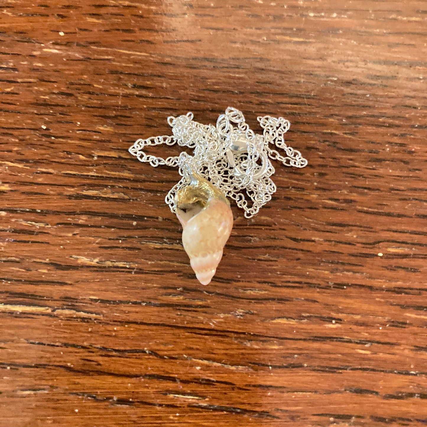 Periwinkle Artisan Made Pendant Handcrafted Sea Shell Necklace 3/8 in x 3/4 in