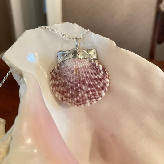 Pacific Pink Scallop Artisan Made Pendant Handcrafted Sea Shell Necklace 1.25 in x 1 3/8 in