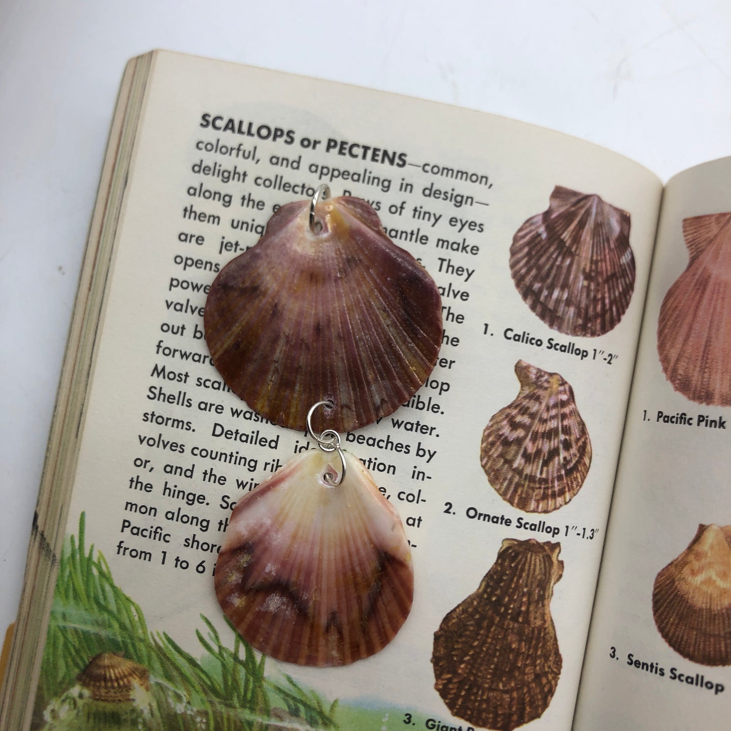 Flat Scallop Artisan Made Pendent Handcrafted Sea Shell Necklace 1.5 in x 3.25 in Mermaid Jewelry
