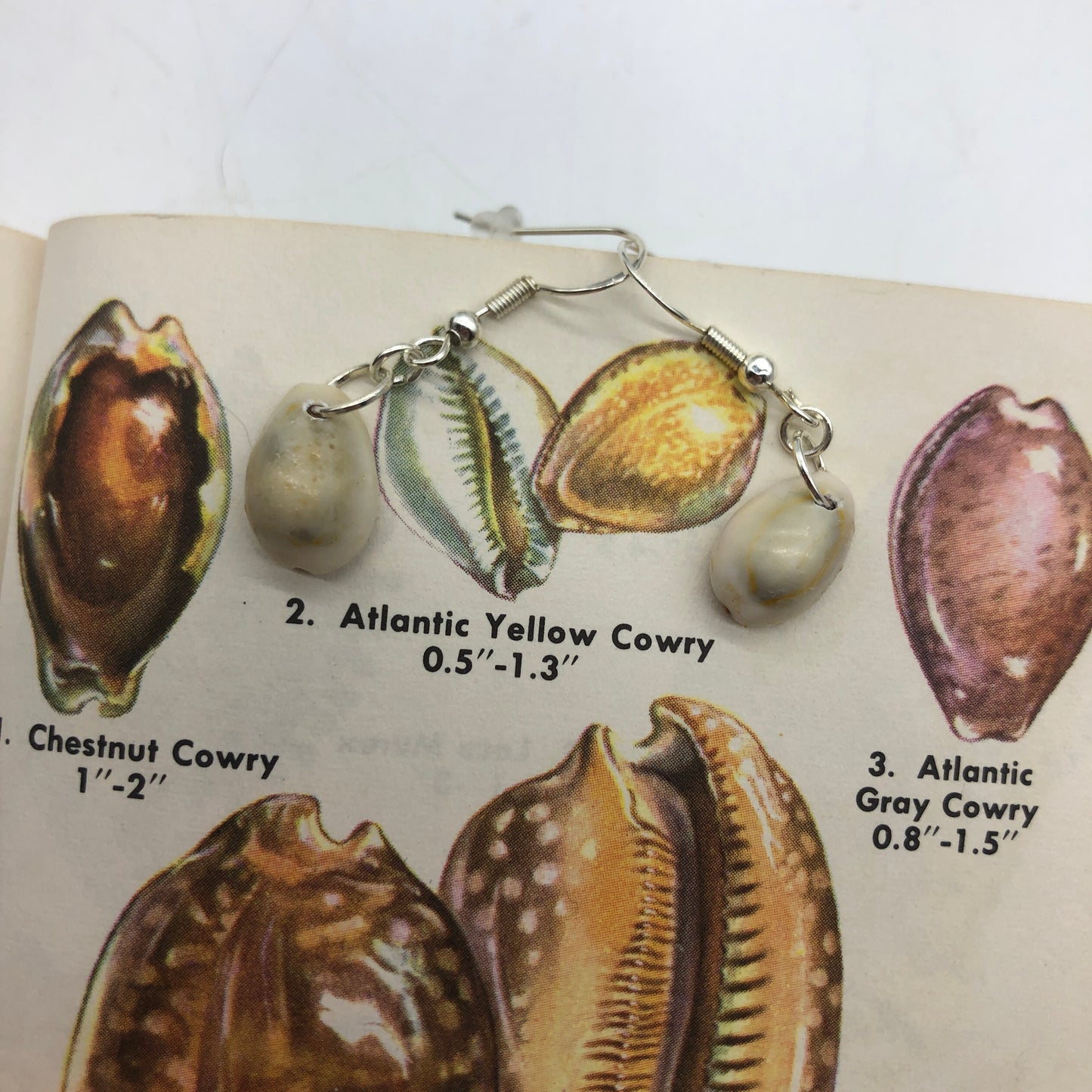 Cowry Artisan Made Earrings Handcrafted Sea Shell Dangle Earrings