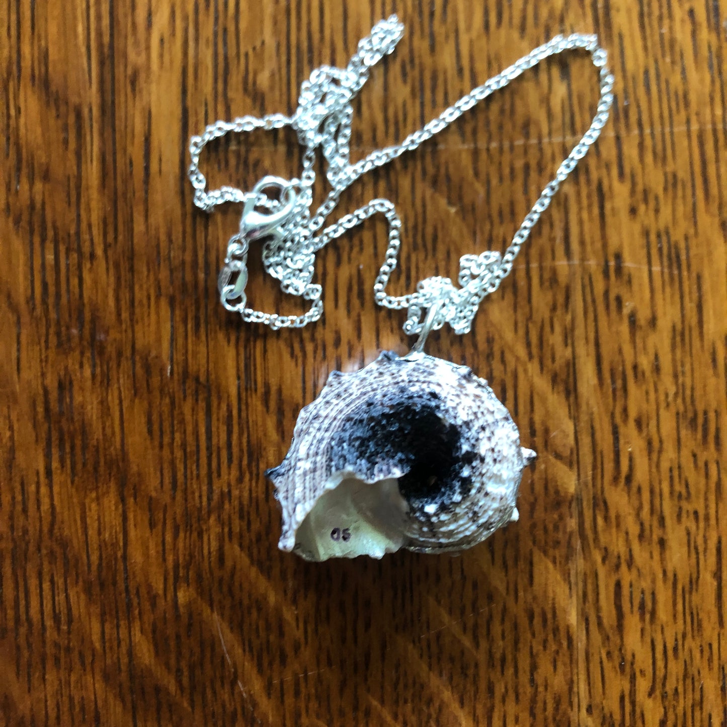 Sea Witch Artisan Made Pendent Handcrafted Sea Shell Necklace 1 in x 1.5 in