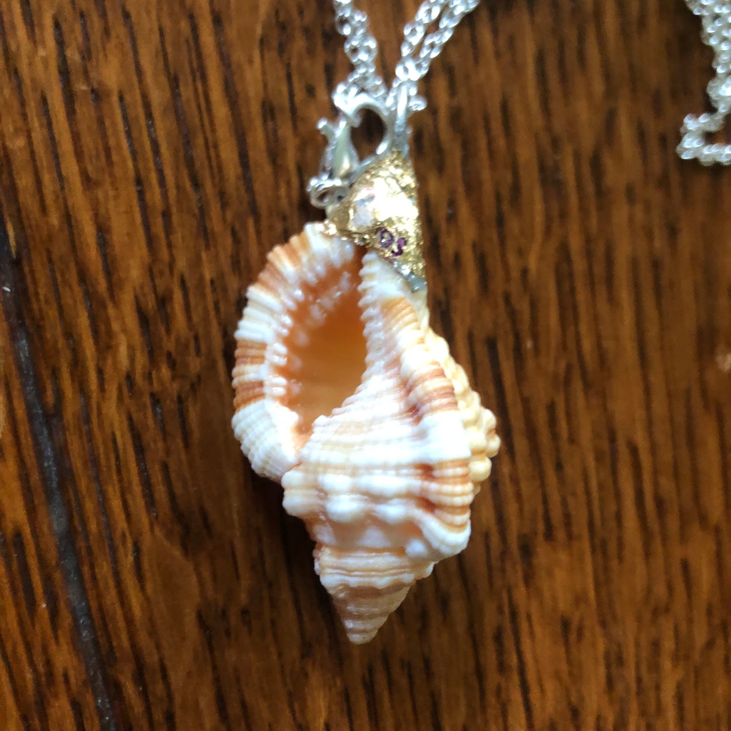Apple Murex Artisan Made Pendent Handcrafted Peach Sea Shell Necklace 1.25 in x 1 in