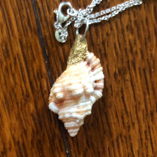 This picture features a close-up of a delicate necklace with a seashell pendant. The pendant is a small, light-colored seashell with subtle pinkish-brown markings, and its top is adorned with a textured, golden-toned cap that connects it to a thin, silver plated chain.  The lighting highlights the textures of both the seashell and the golden cap.