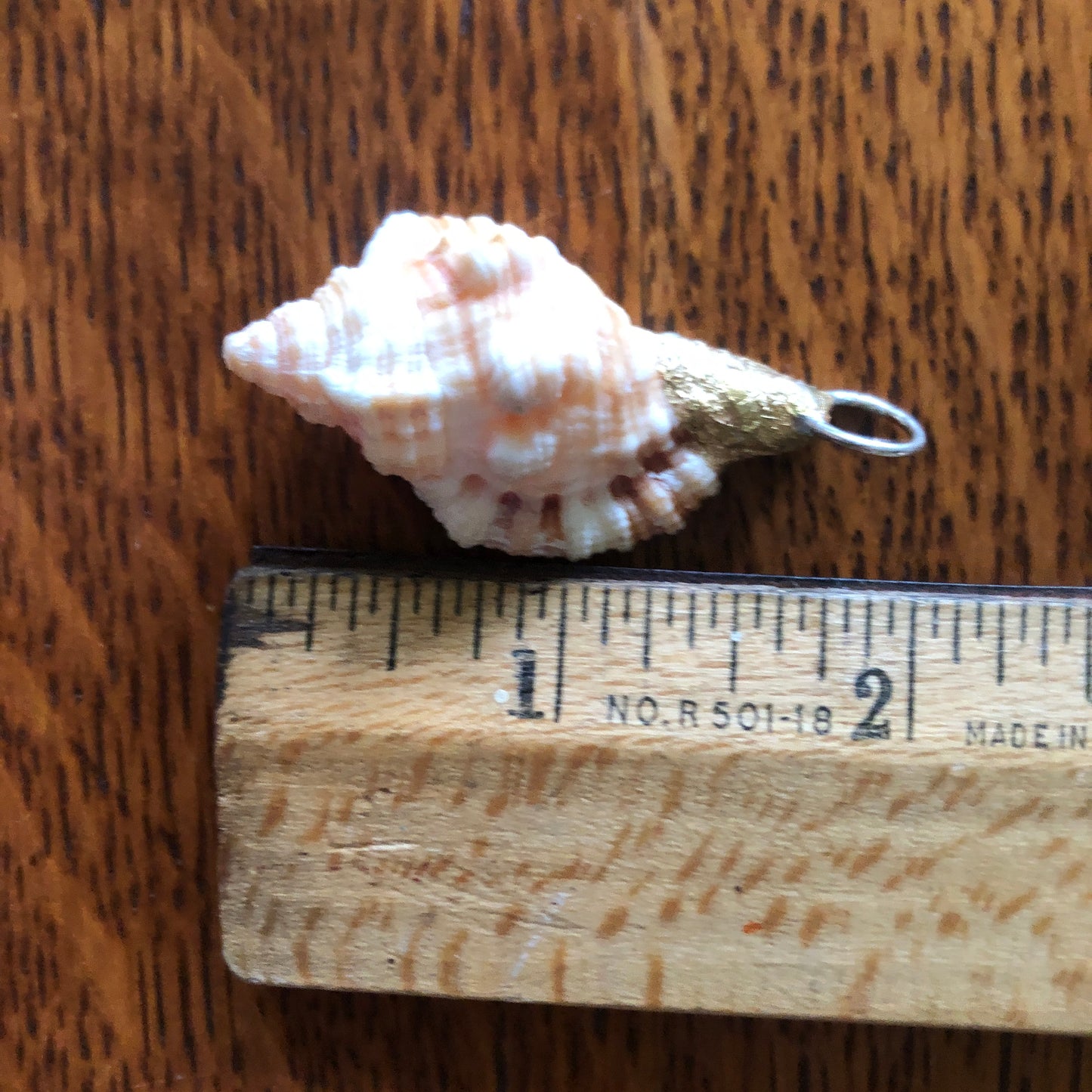Apple Murex Artisan Made Pendent Handcrafted Peach Sea Shell Necklace 1.25 in x 1 in
