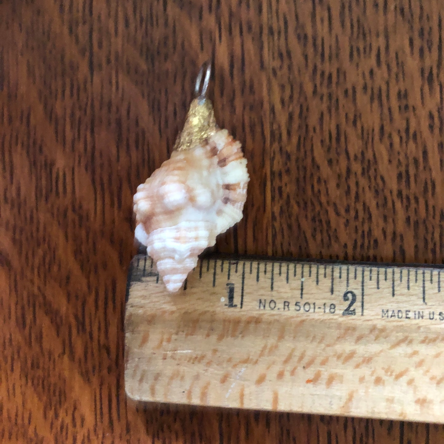 Apple Murex Artisan Made Pendent Handcrafted Peach Sea Shell Necklace 1.25 in x 1 in