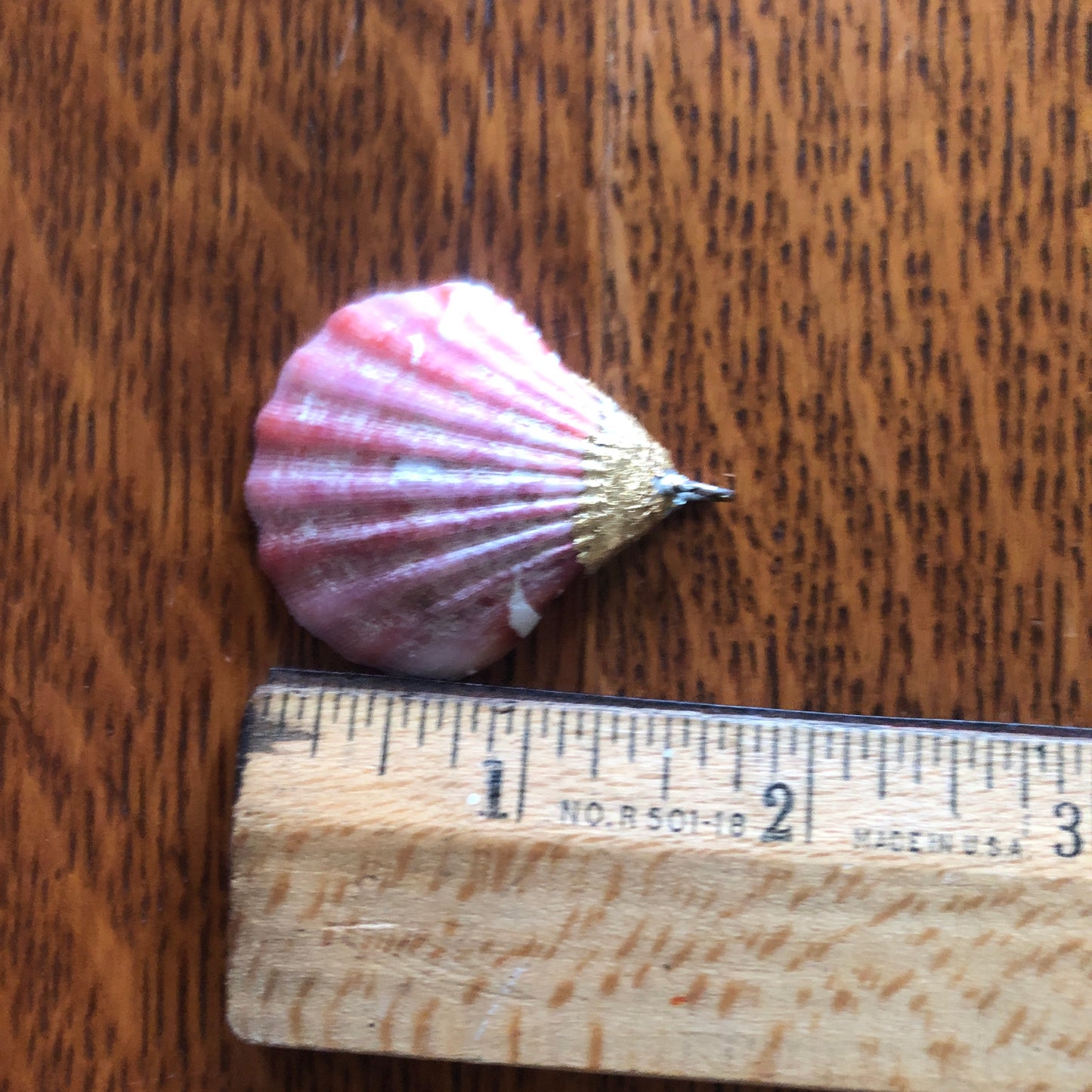 Pacific Pink Scallop Artisan Made Pendent Handcrafted Sea Shell Necklace 1.5in x 1.5in