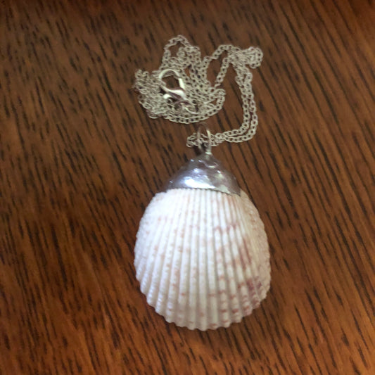 Scallop Shell Artisan Made Pendent Handcrafted Sea Shell Necklace 1 3/8in x 1 3/4in