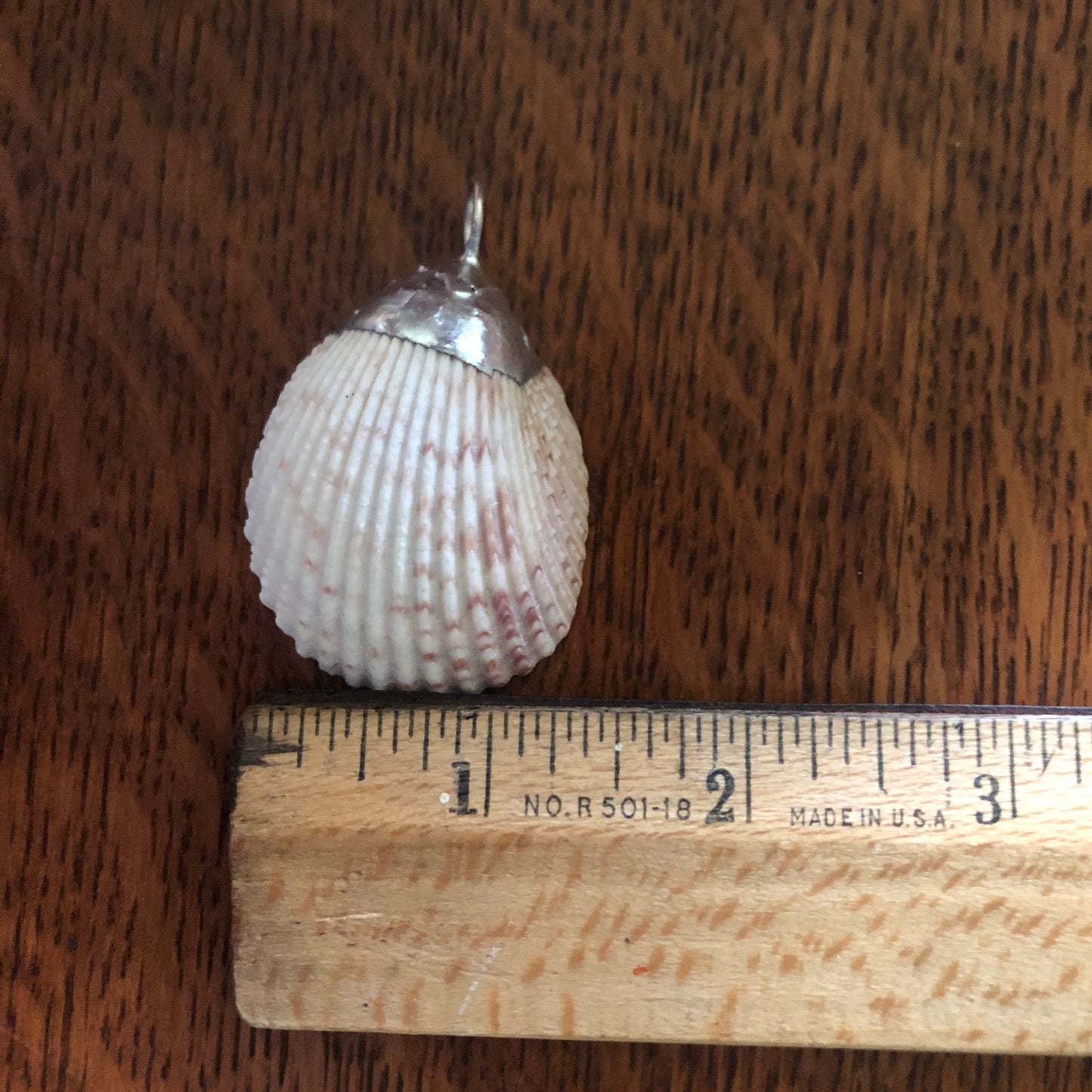 Scallop Shell Artisan Made Pendent Handcrafted Sea Shell Necklace 1 3/8in x 1 3/4in