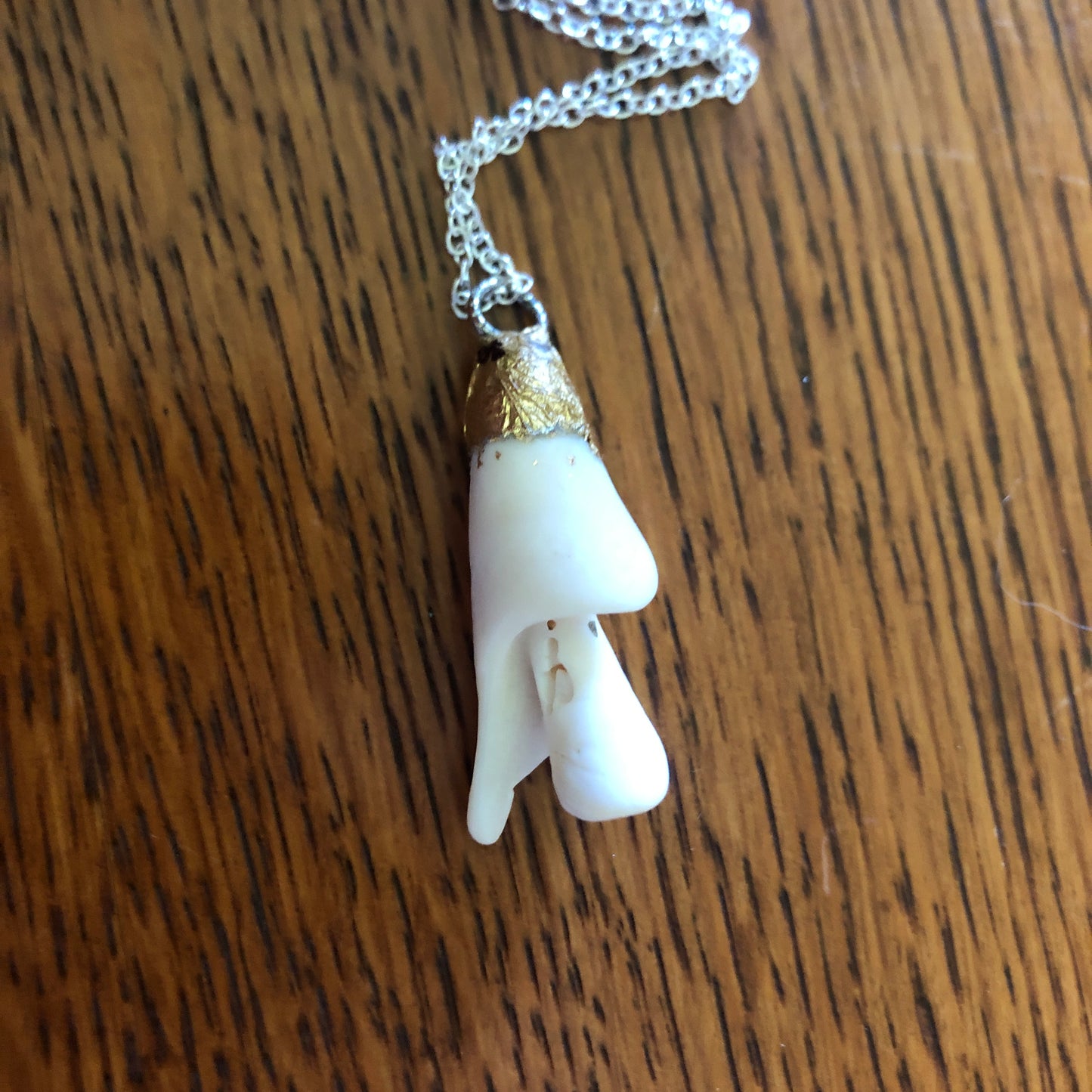 Sea Shell Spiral Artisan Made Pendent Handcrafted Sea Shell Necklace 1.25 in x 1/2 in