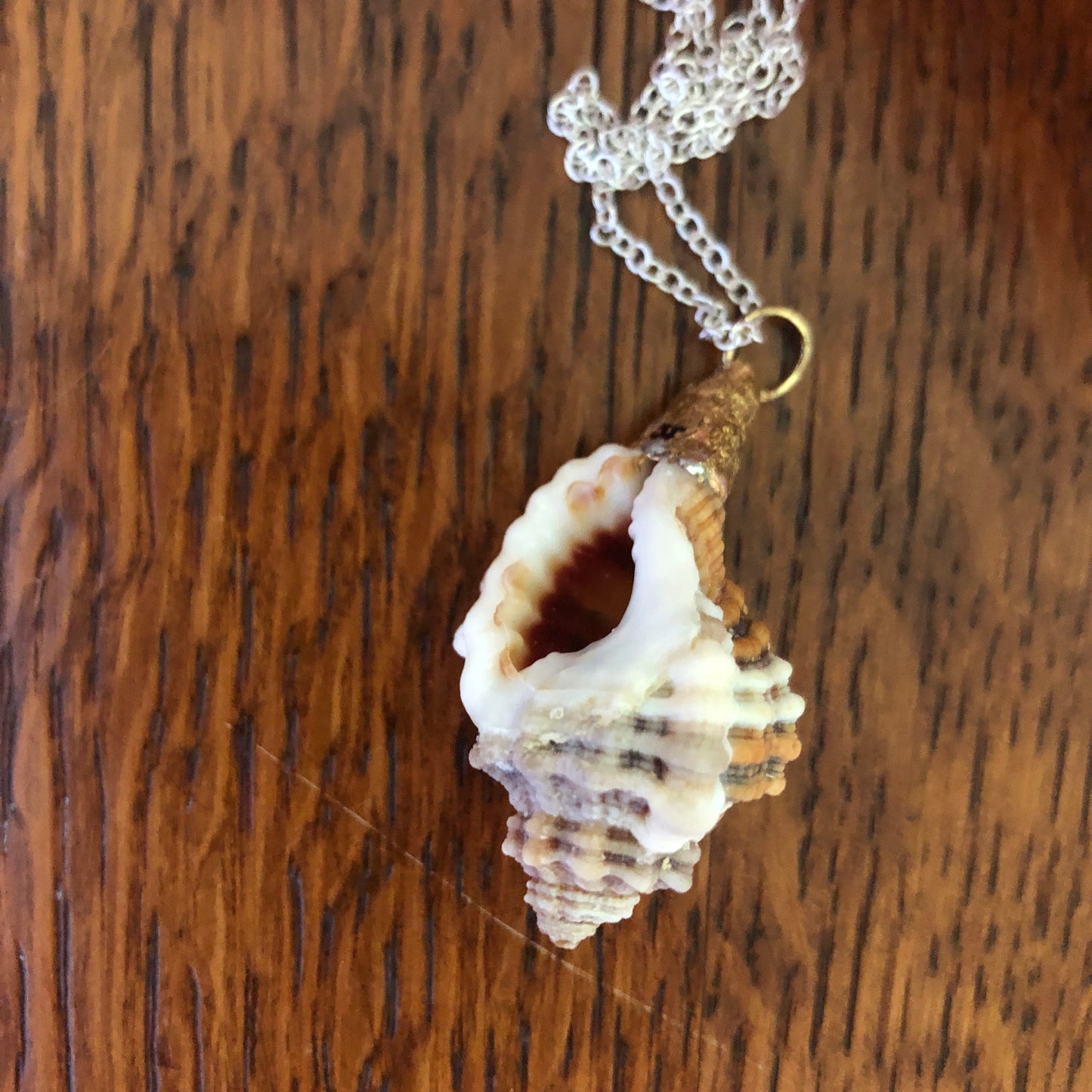 Murex Artisan Made Pendent Handcrafted Sea Shell Necklace 7/8 in x 1.5 in
