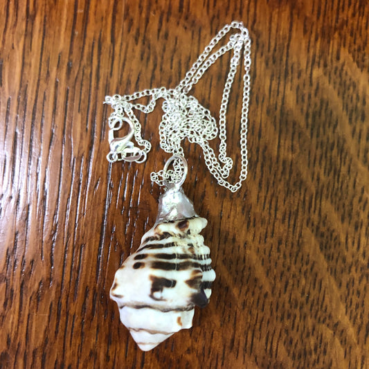 Murex Artisan Made Pendent Handcrafted Sea Shell Necklace 1 in x 1.5 in