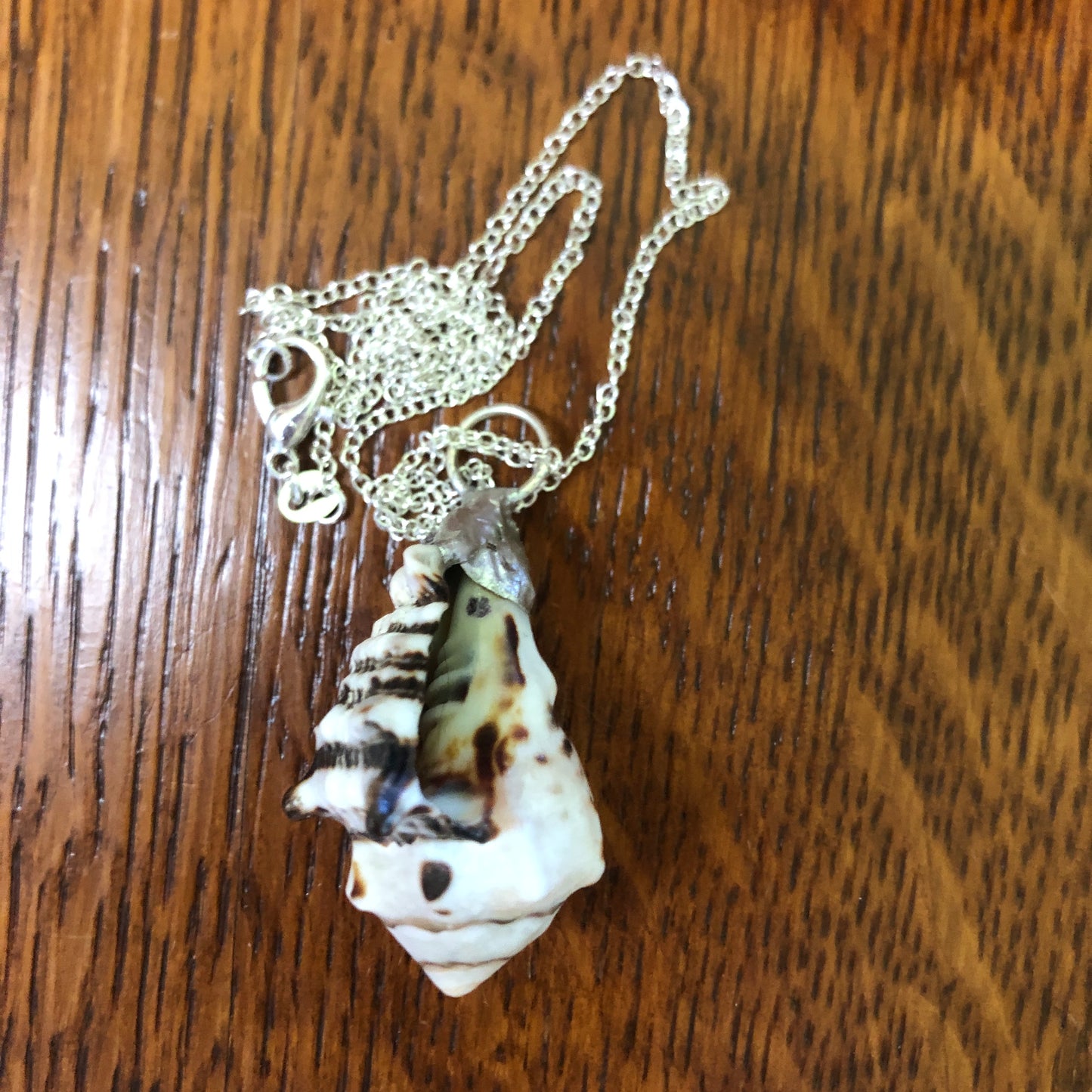 Murex Artisan Made Pendent Handcrafted Sea Shell Necklace 1 in x 1.5 in