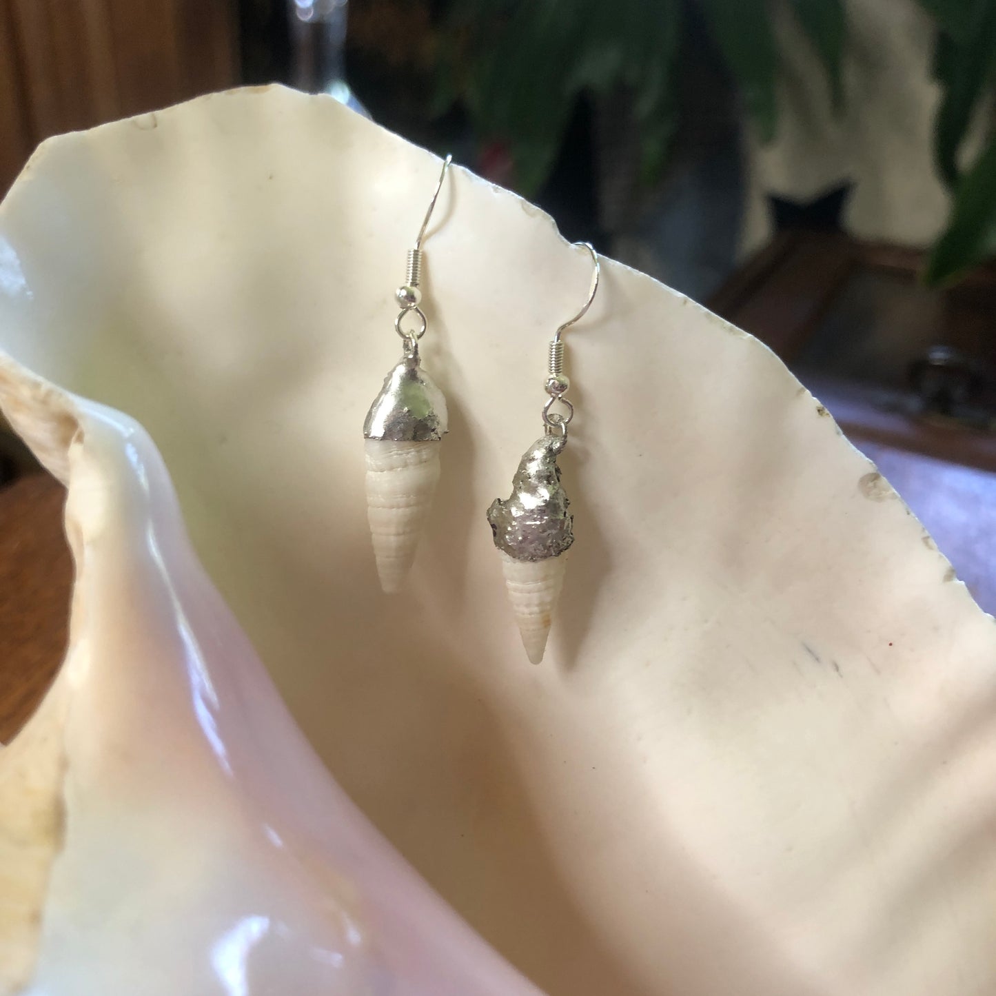 Dazzling White Cerith Shell Artisan Made Earrings Handcrafted Sea Shell Dangle Earrings
