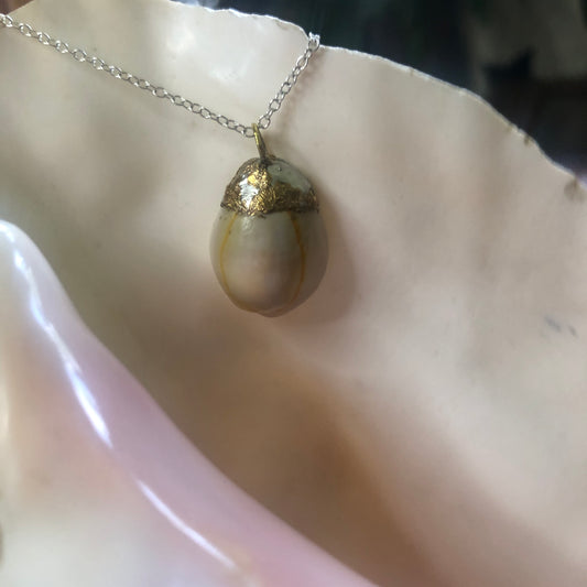 Atlantic Yellow Cowry Artisan Made Pendent Handcrafted Sea Shell Necklace 3/4 in x 1 in