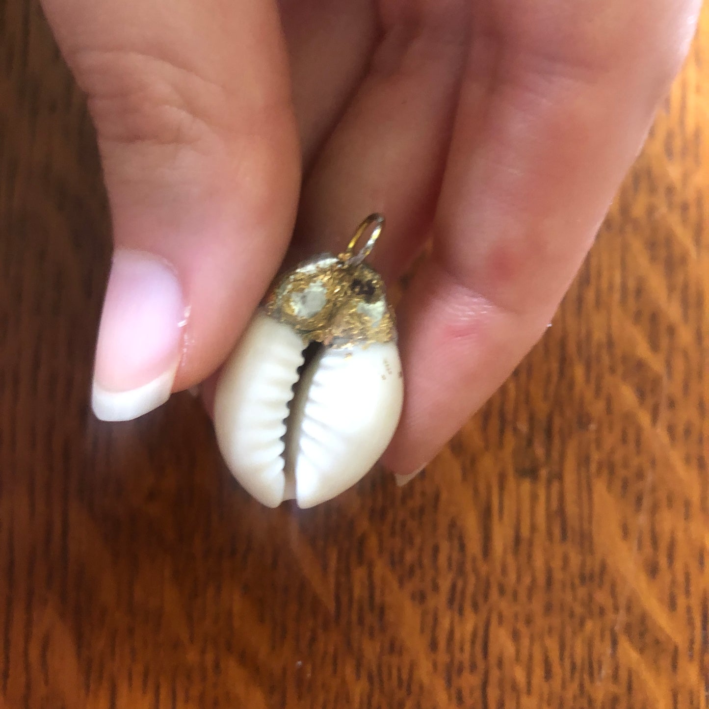 Atlantic Yellow Cowry Artisan Made Pendent Handcrafted Sea Shell Necklace 3/4 in x 1 in