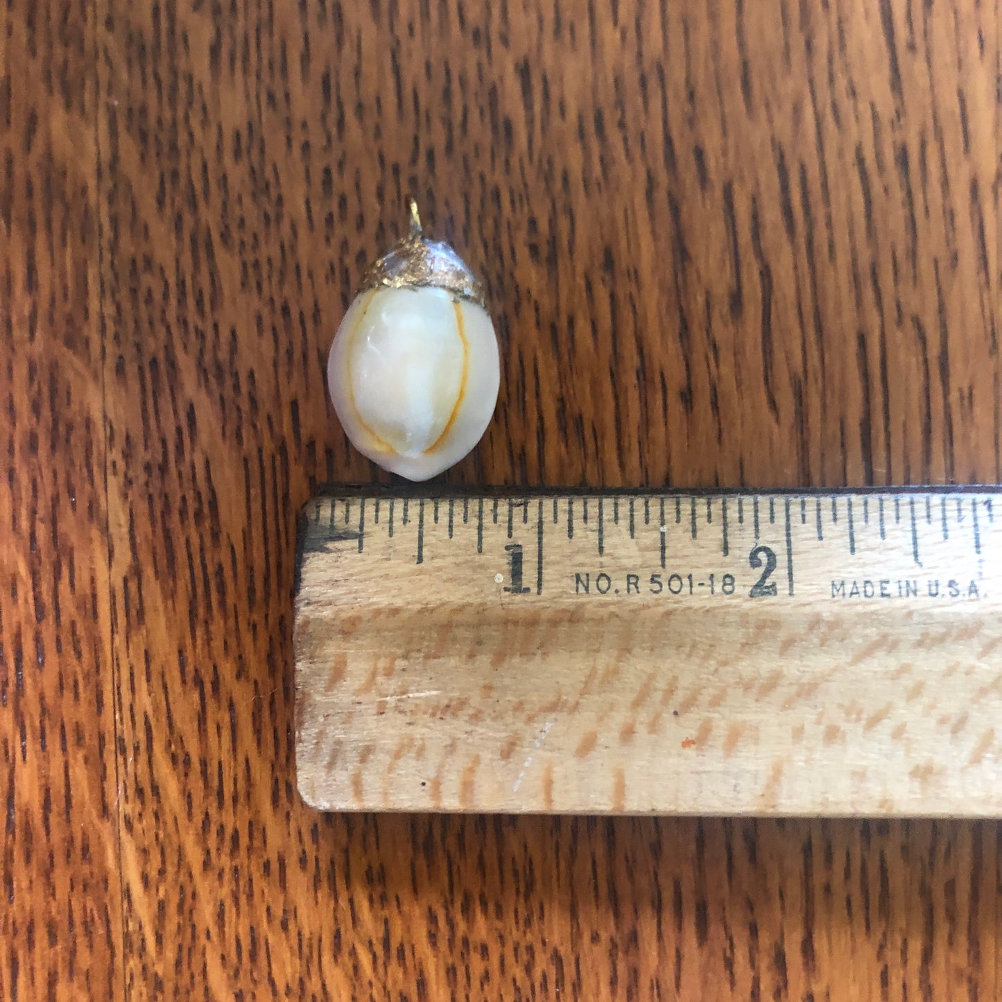 Atlantic Yellow Cowry Artisan Made Pendent Handcrafted Sea Shell Necklace 3/4 in x 1 in