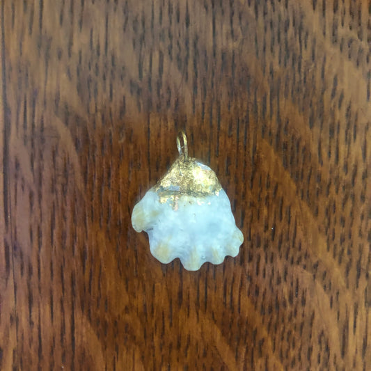 Kitten's Paw Artisan Made Pendent Handcrafted Sea Shell Necklace 1 in x 1 in