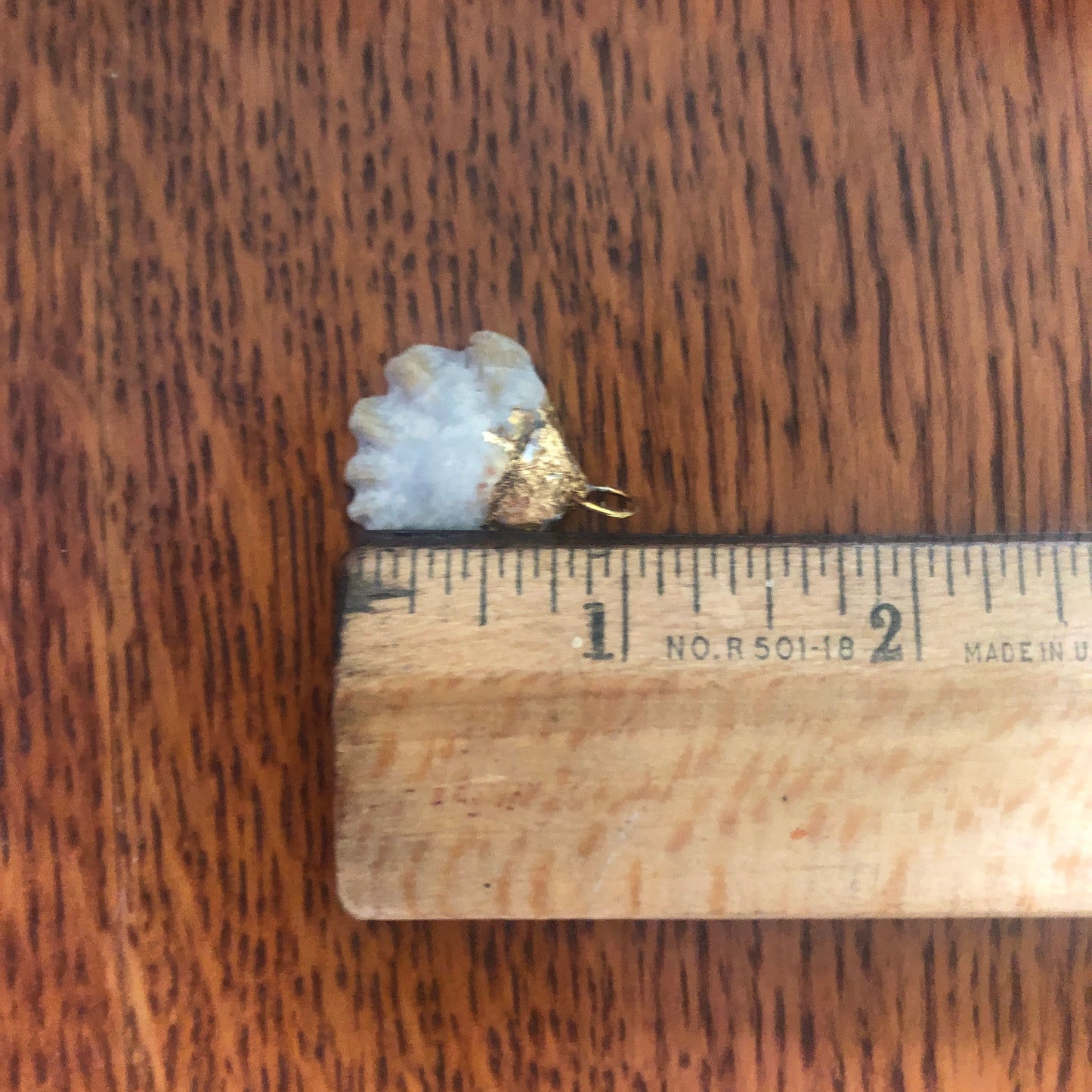 Kitten's Paw Artisan Made Pendent Handcrafted Sea Shell Necklace 1 in x 1 in