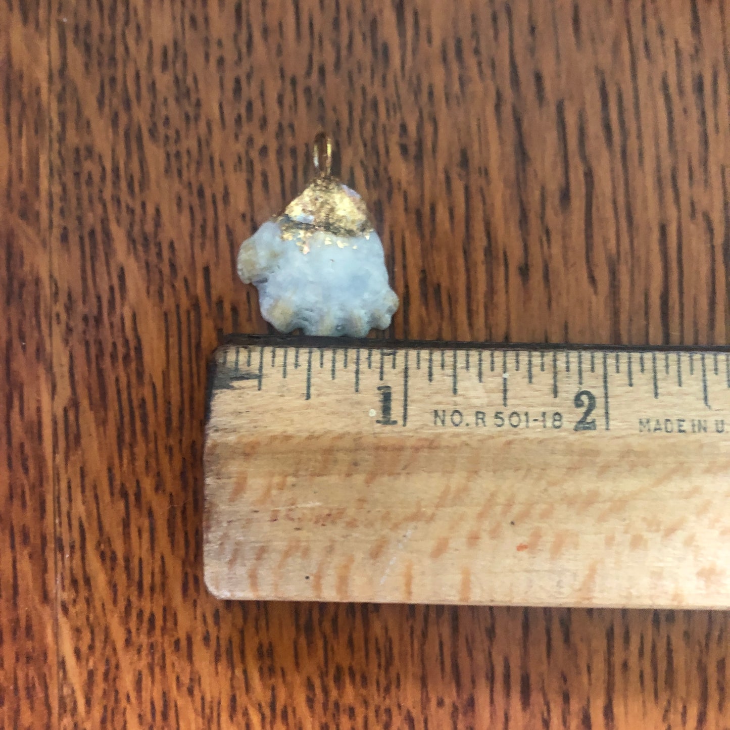Kitten's Paw Artisan Made Pendent Handcrafted Sea Shell Necklace 1 in x 1 in