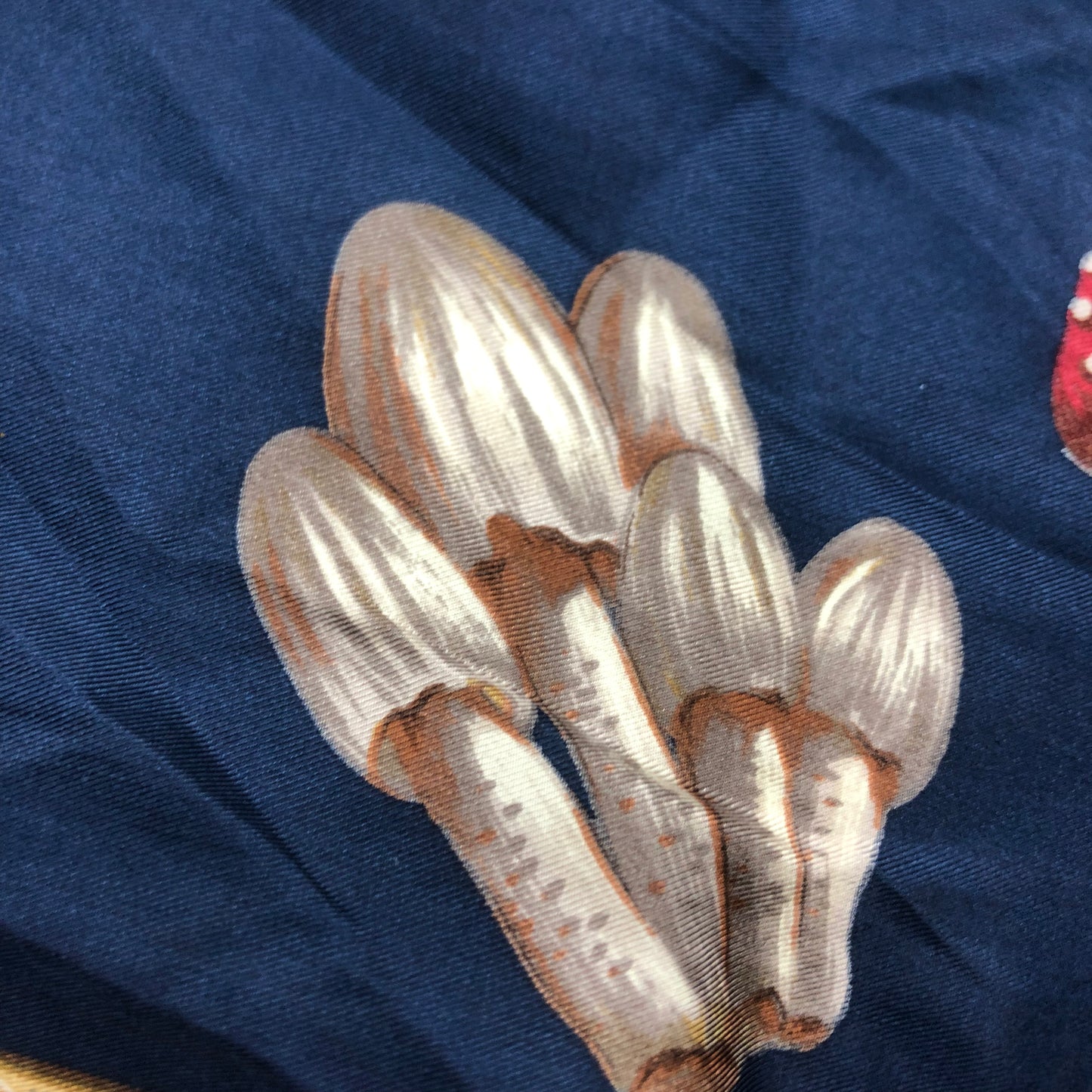 Echo 100% Silk Mushroom Scarf