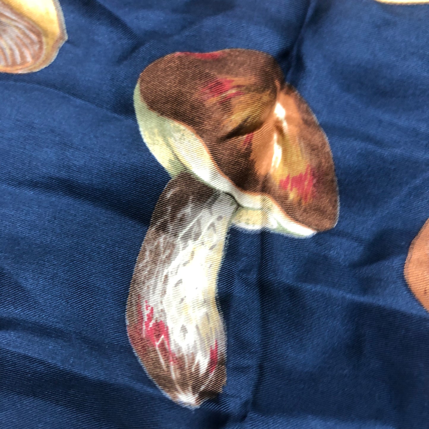 Echo 100% Silk Mushroom Scarf