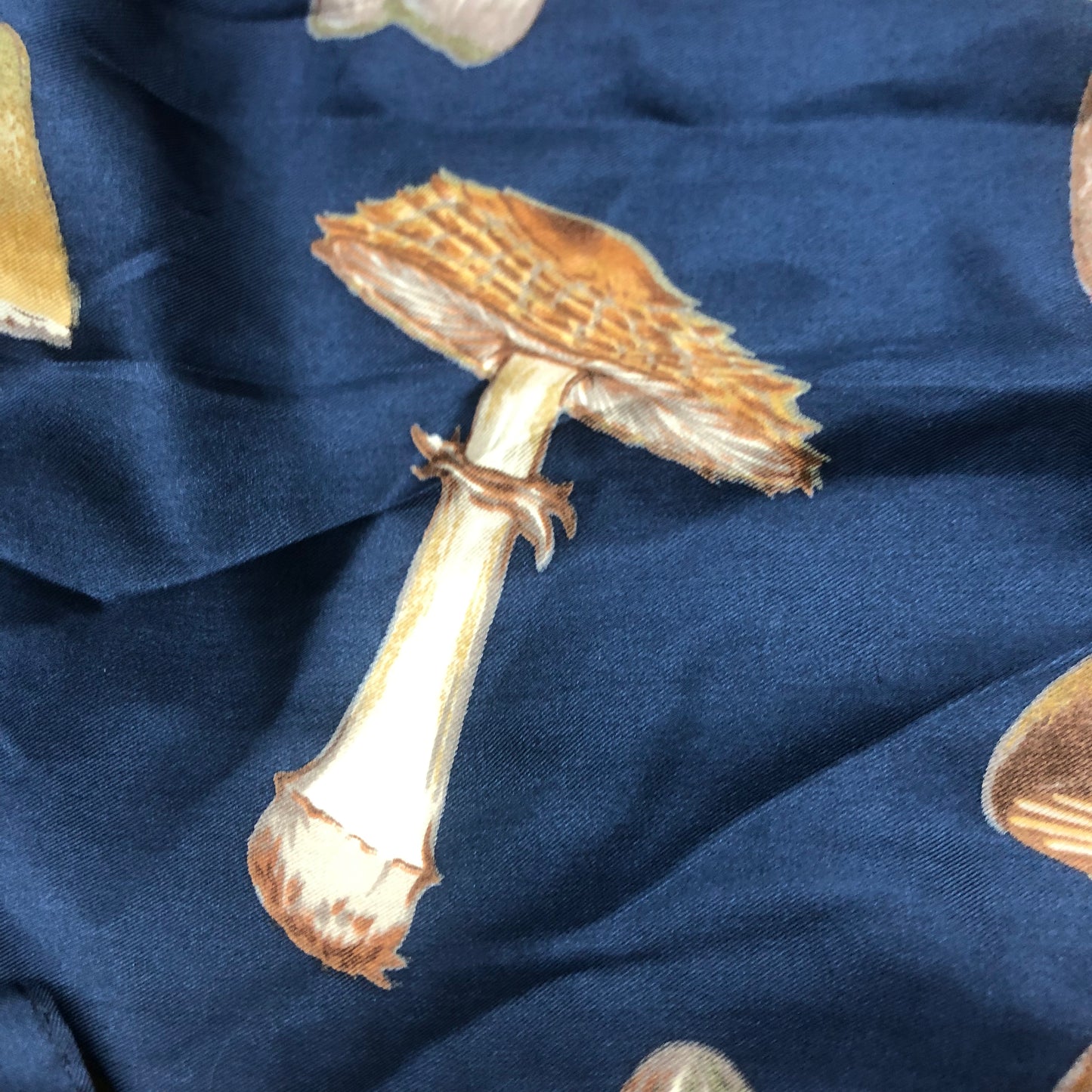 Echo 100% Silk Mushroom Scarf