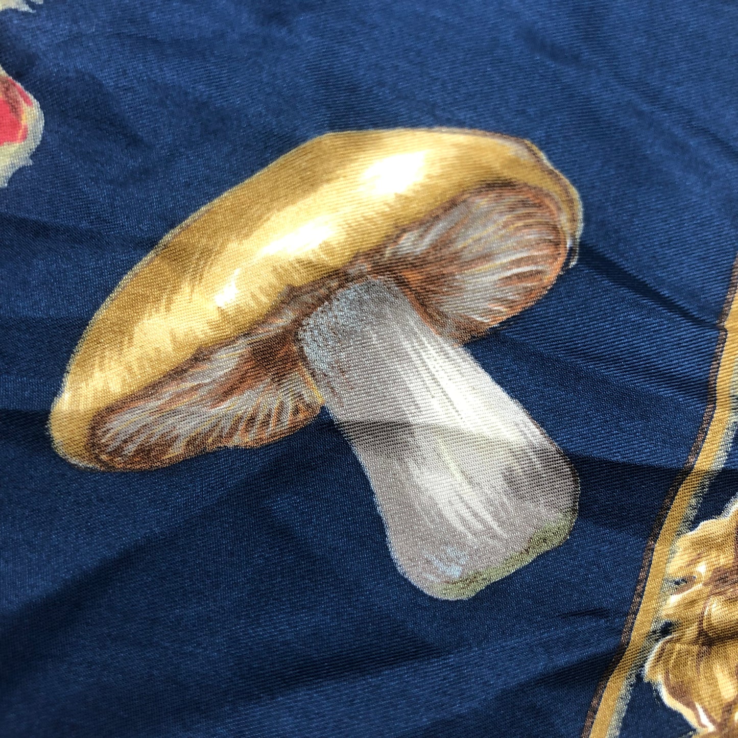 Echo 100% Silk Mushroom Scarf