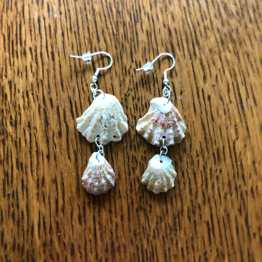 Kittens Paw Artisan Made Earrings Handcrafted Sea Shell Dangle Earrings